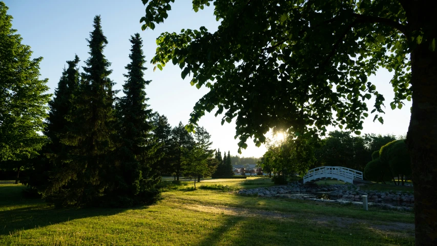 the sun sets on an otherwise green and shady park