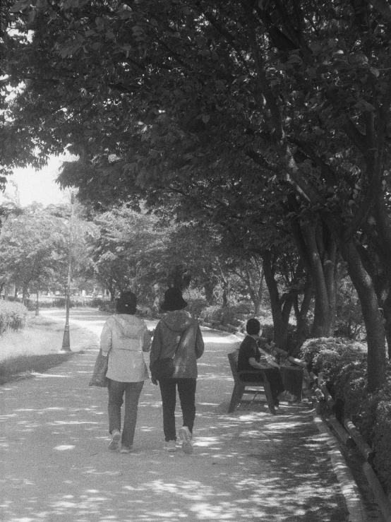 the black and white po shows people walking under trees