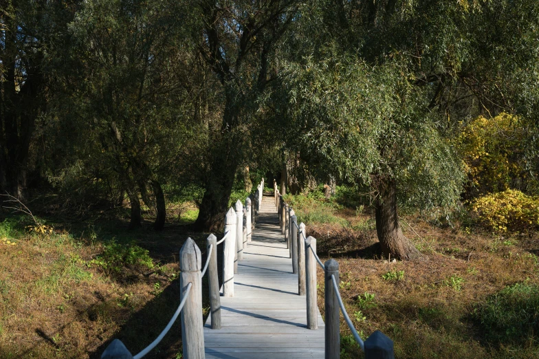 there is a white bridge with trees around it