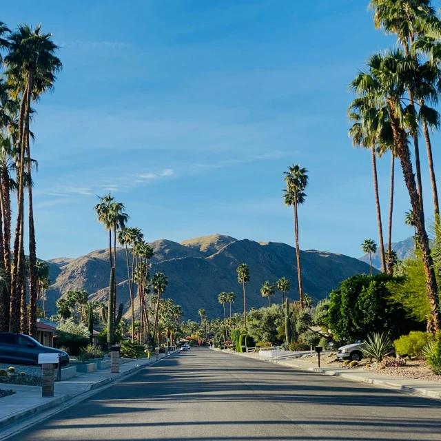 a bunch of palm trees and mountains with a blue sky