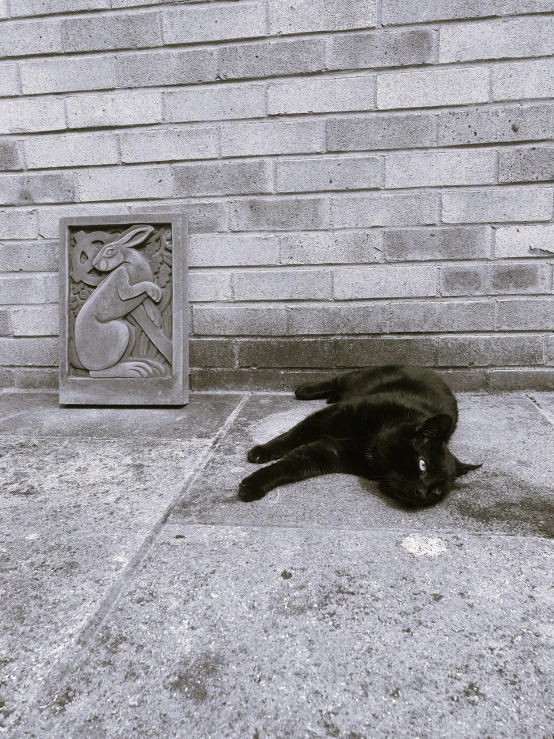 there is a black cat sleeping on the ground