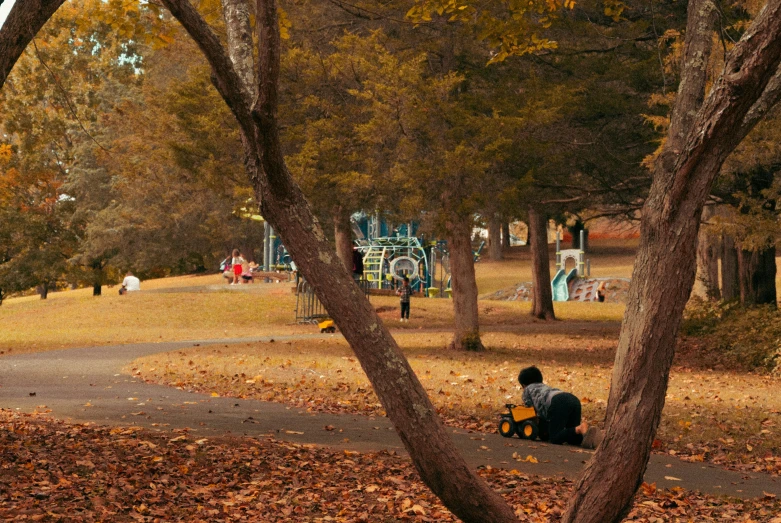 a person sitting on a bench at a park