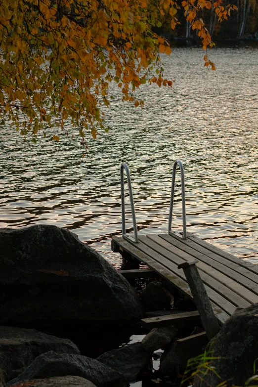 a view of a dock and some leaves over water