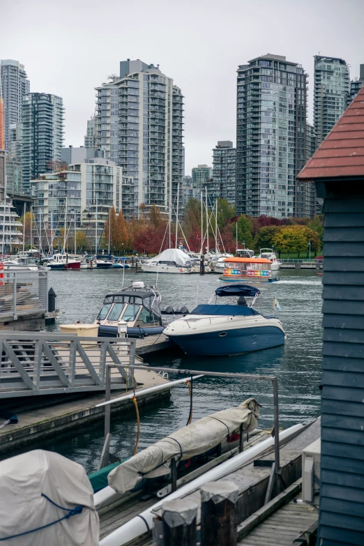 boats are parked near the dock as tall buildings reflect in the background