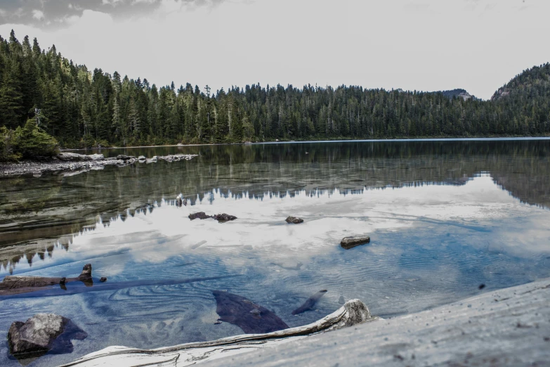 a lake with large rocks near the edge and some forest