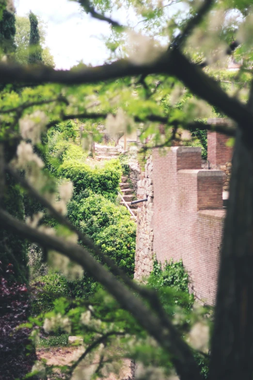 a building in the middle of trees with some stairs behind it