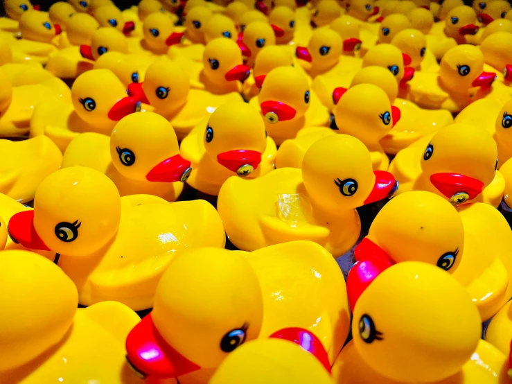 yellow rubber ducks with different colored nose rings