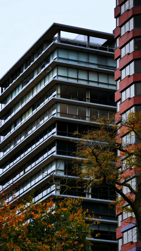 a building with some fall leaves and a clock