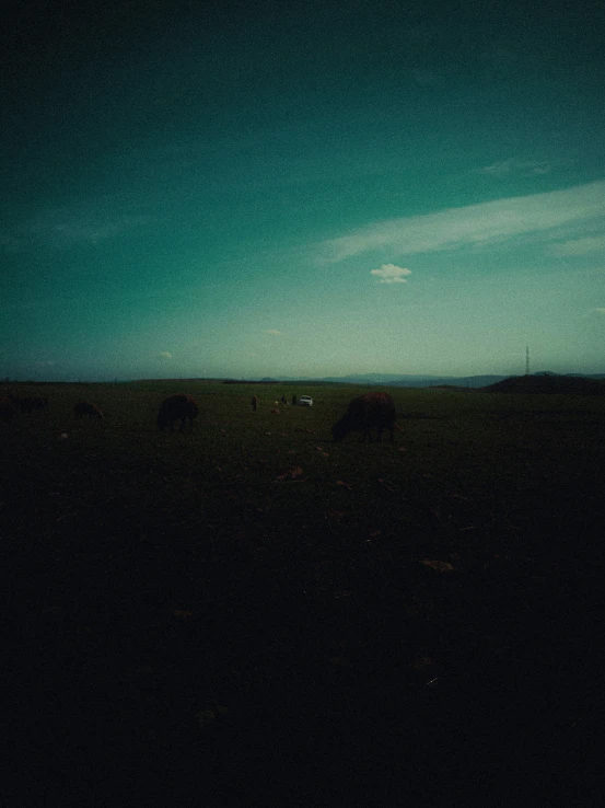 an empty grassy field in the middle of the night