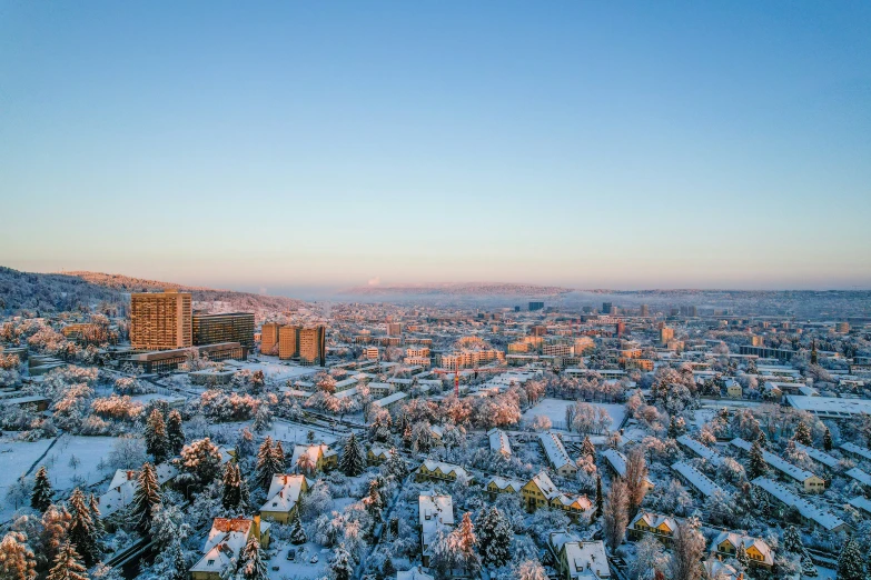 a winter view of buildings and trees and snow