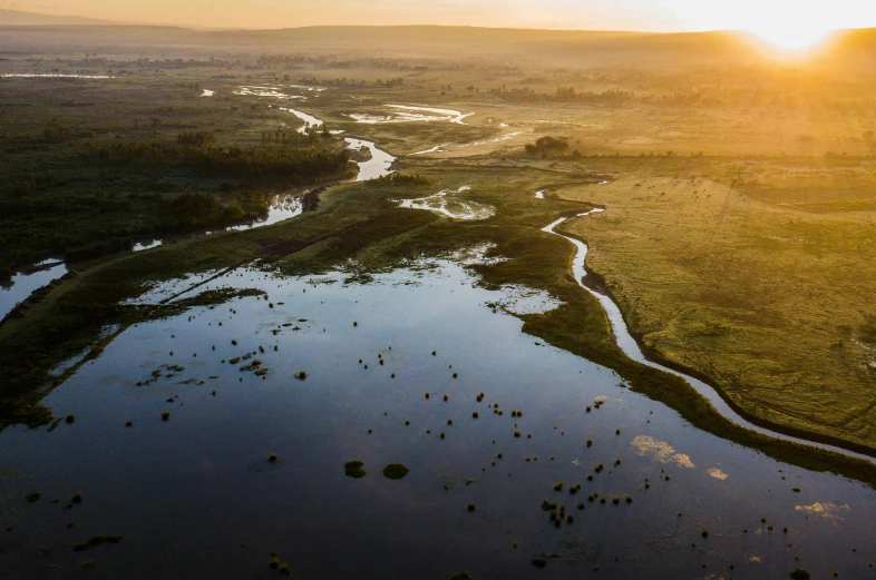 a river in the middle of a lush green field