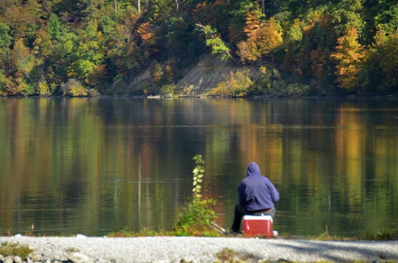 a person sitting on a bench by the edge of the water