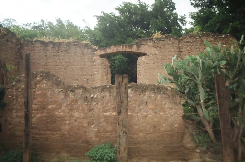 a brick wall with a green door and tree outside