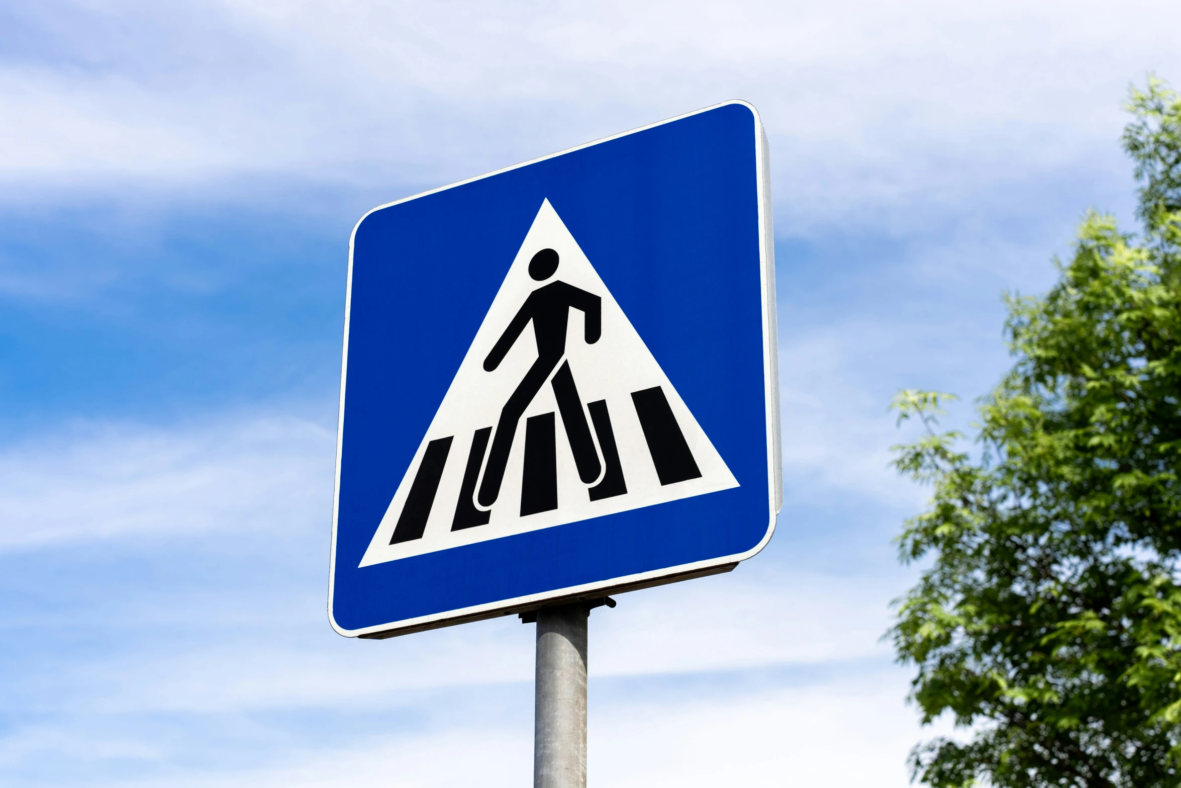 a blue and white street sign in front of a tree