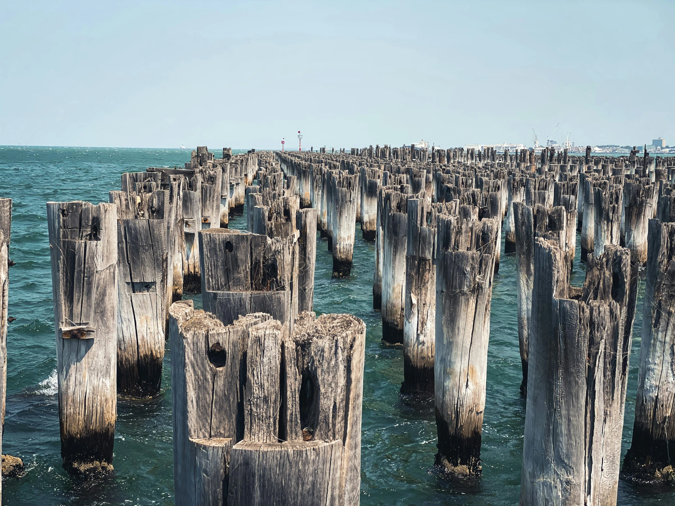 some wood pillars in water and a beach