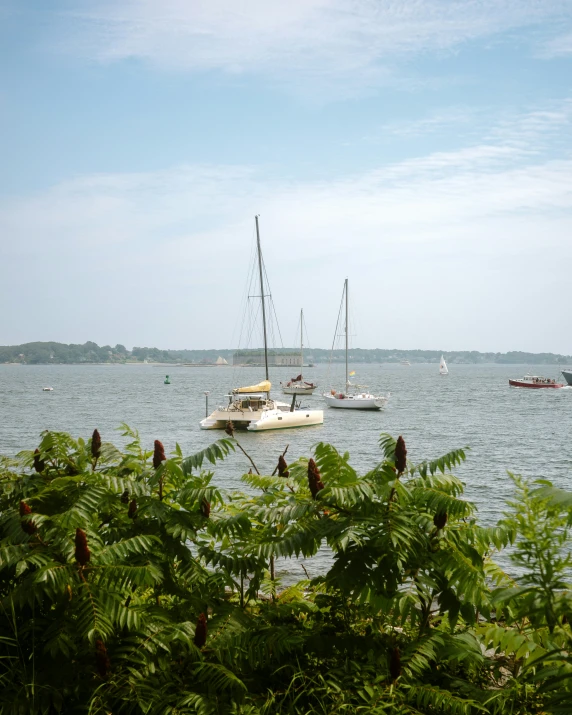 some boats sitting on the ocean in a body of water