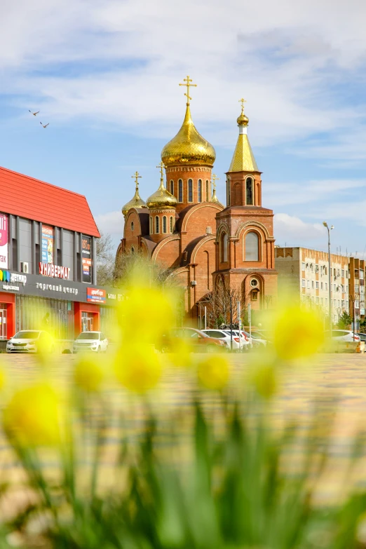 there is a small flower in the foreground near some buildings