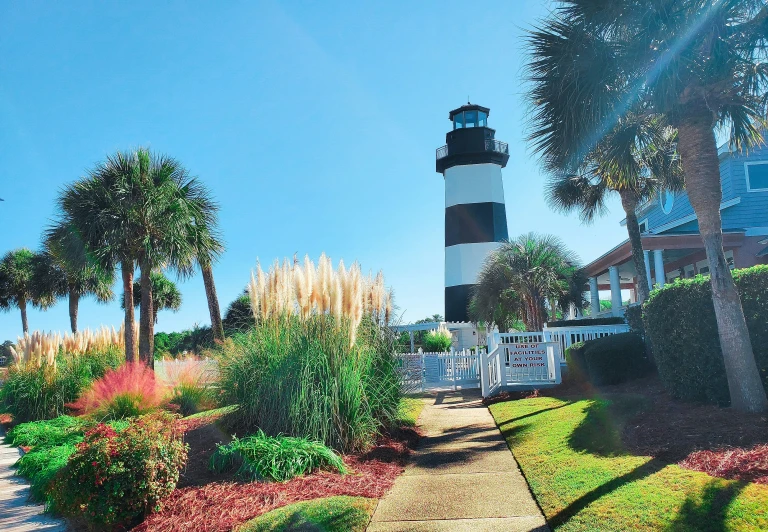 there are trees, bushes and a light house