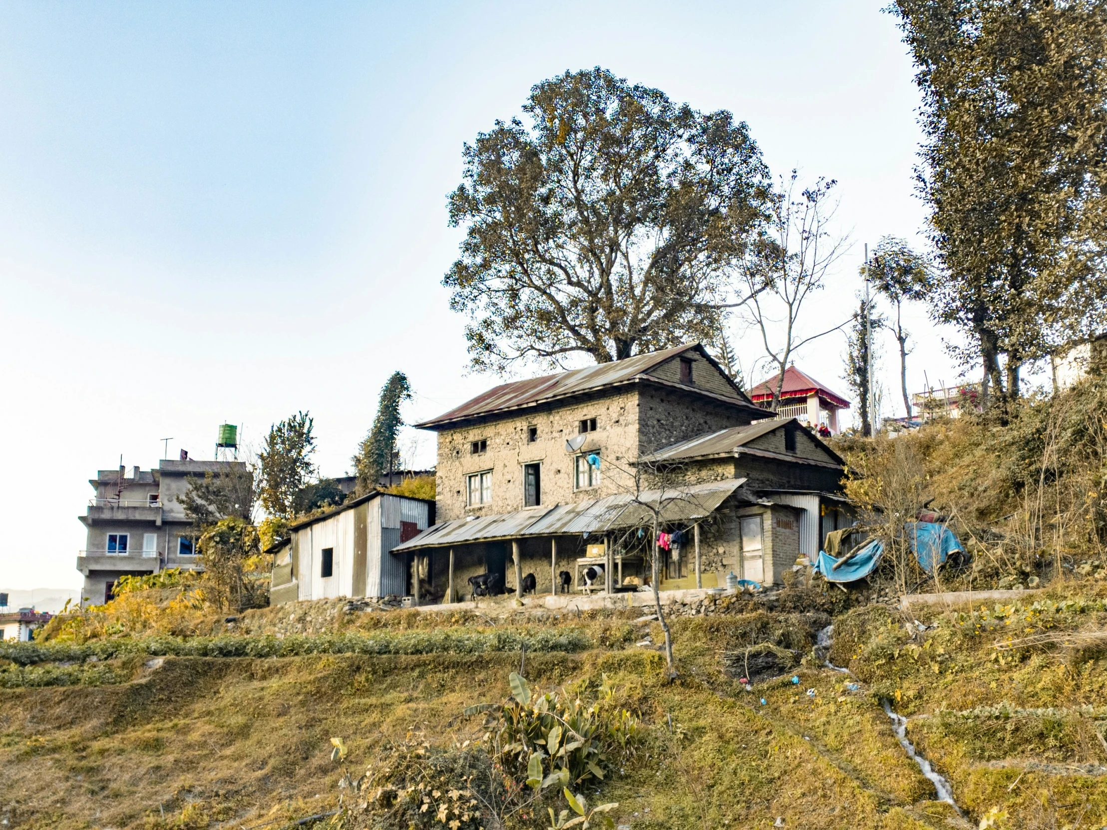 the house with some trees is built on the hillside