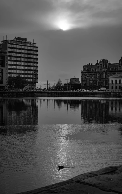 black and white image of water with buildings in the background