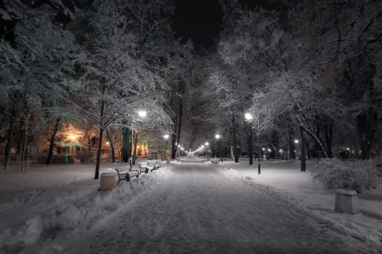 a snow covered sidewalk at night next to a park