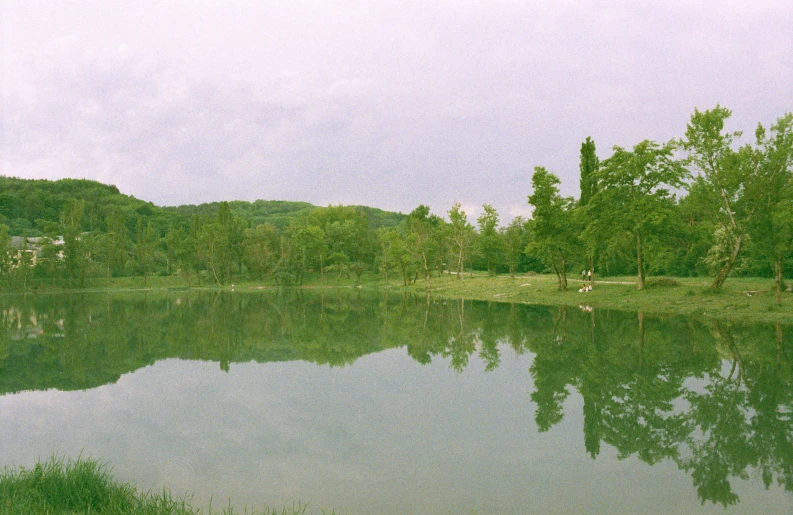 a lake with grass around it in front of trees