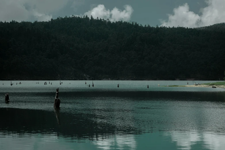 some people are wading out in the water by some mountains