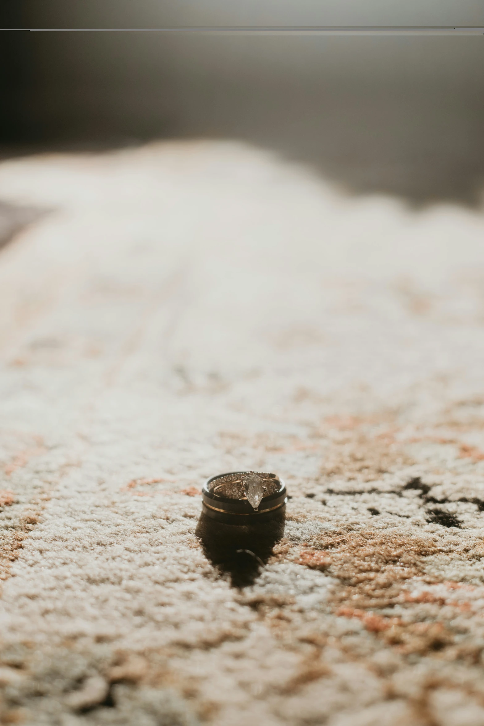 a tiny bird is sitting on the edge of a carpet