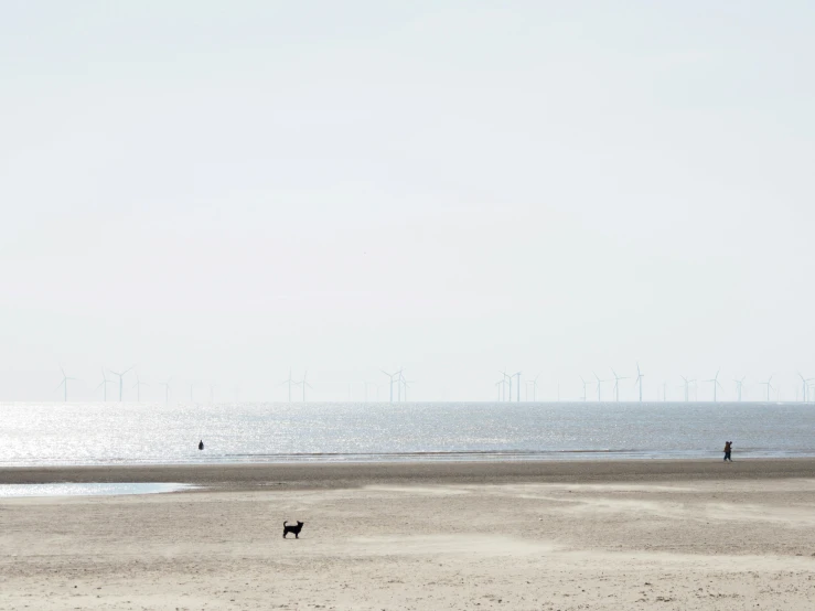 two people are on the beach near a windmill