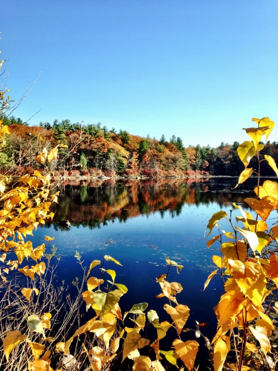 the blue lake is surrounded by autumn trees