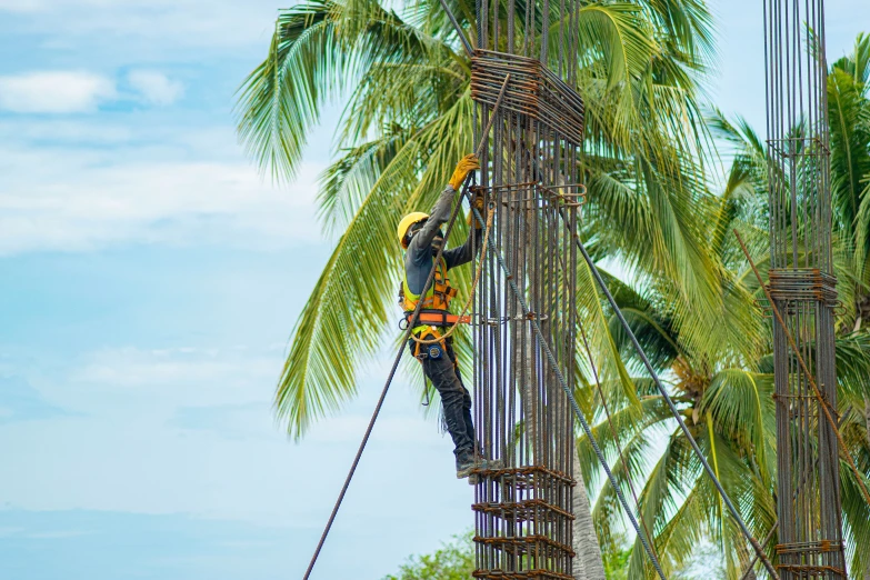 the worker is working in the tall trees