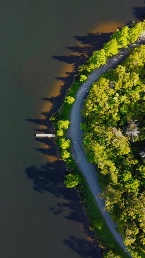 aerial view of a road and trees with a boat on the water
