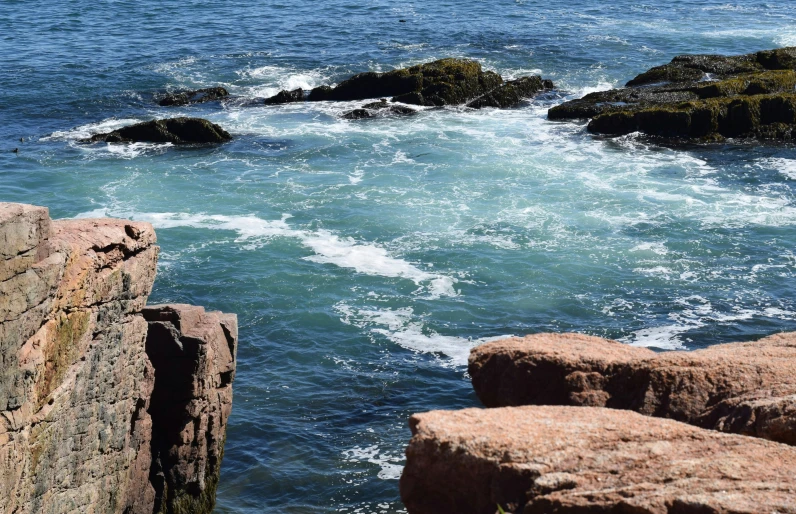 an ocean and rock beach scene with a seagull near the rocks