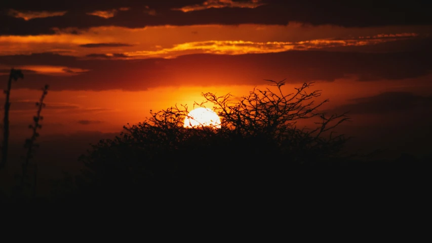 a sky with the sun rising through some clouds