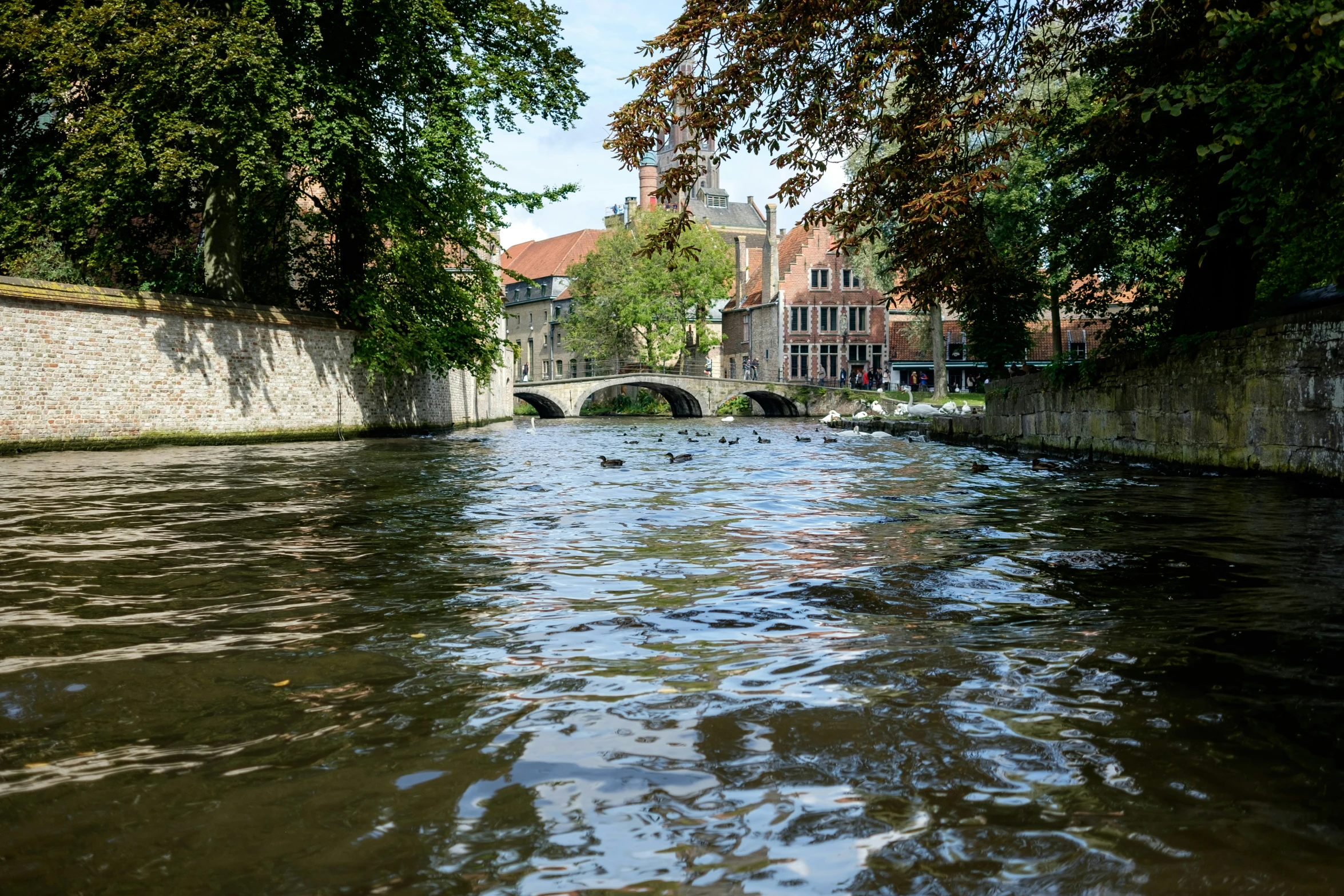 a waterway in the city with trees lining it