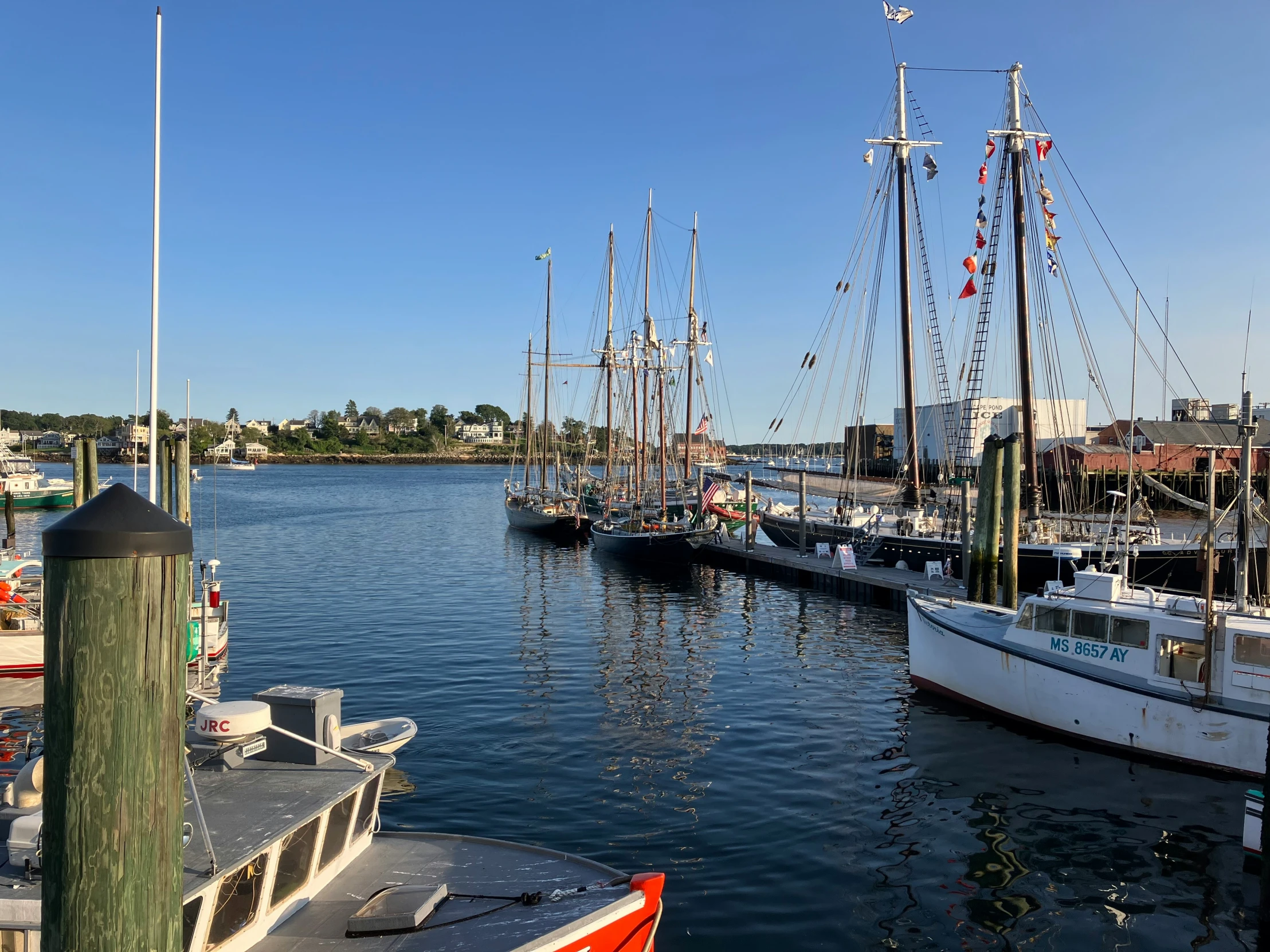 a group of sail boats docked in a marina