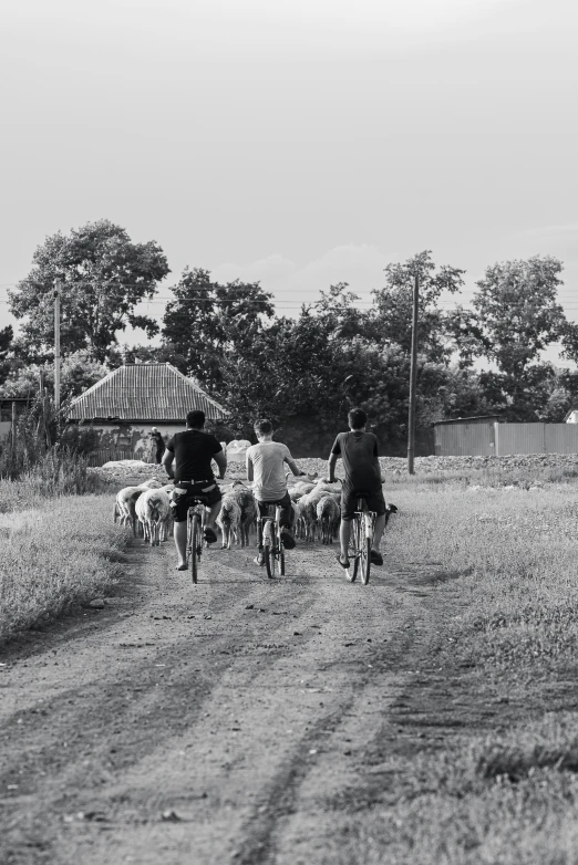 a group of three people are riding bicycles