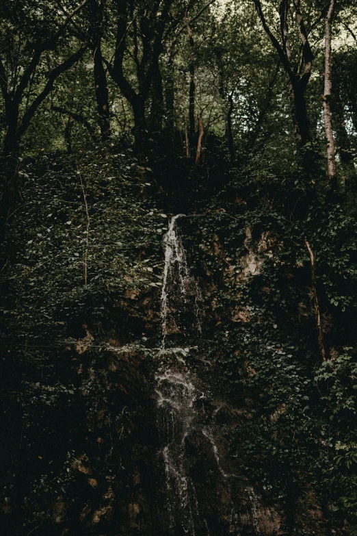 a waterfall in the middle of a forest with lots of trees