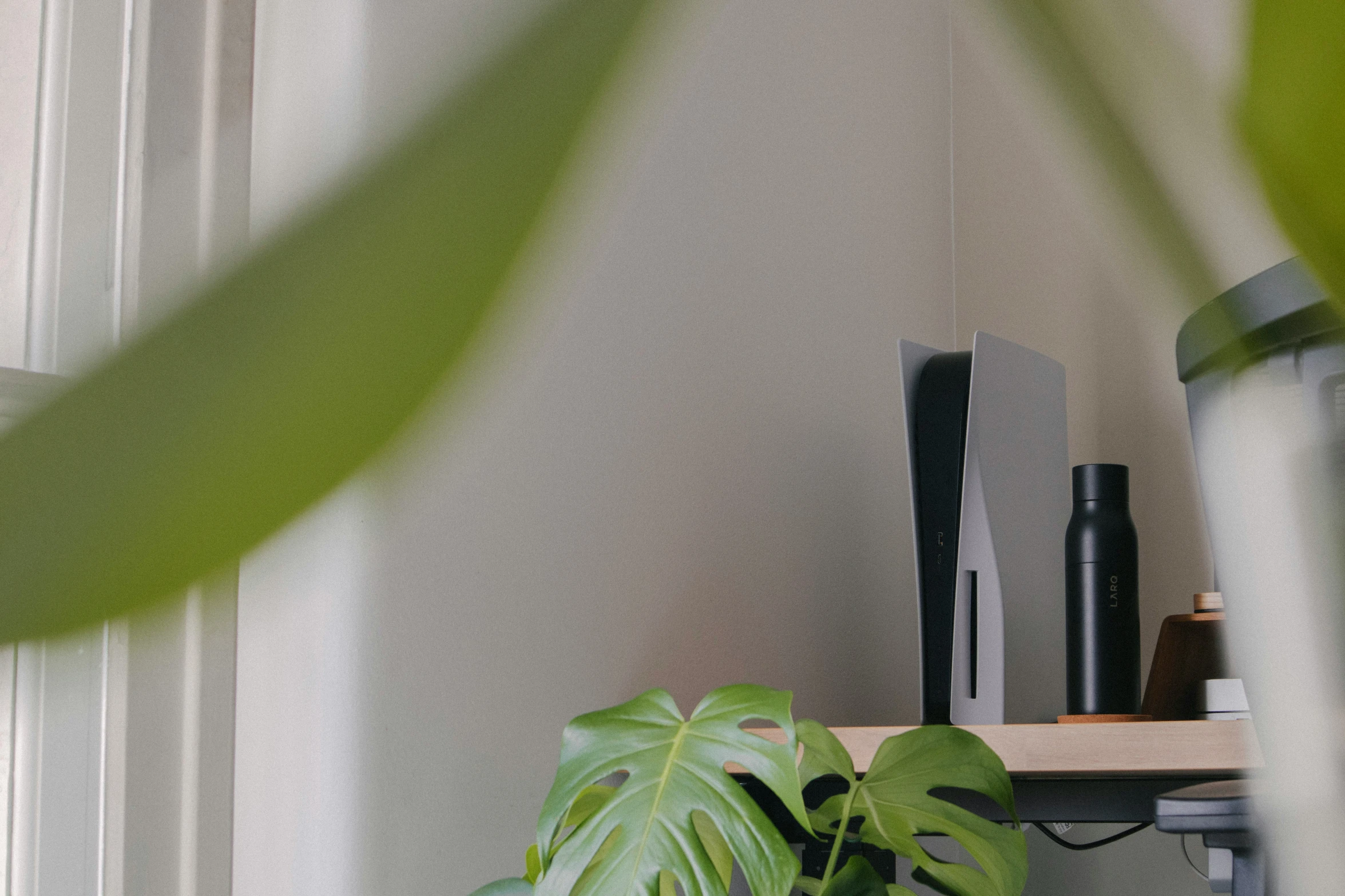 the plant is beside of the shelf with two electronic devices