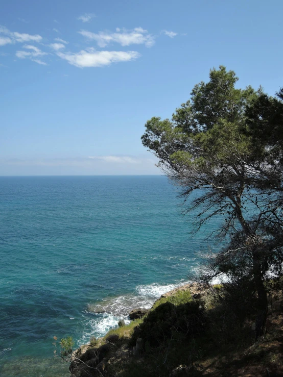 there is a bench overlooking the beautiful blue ocean