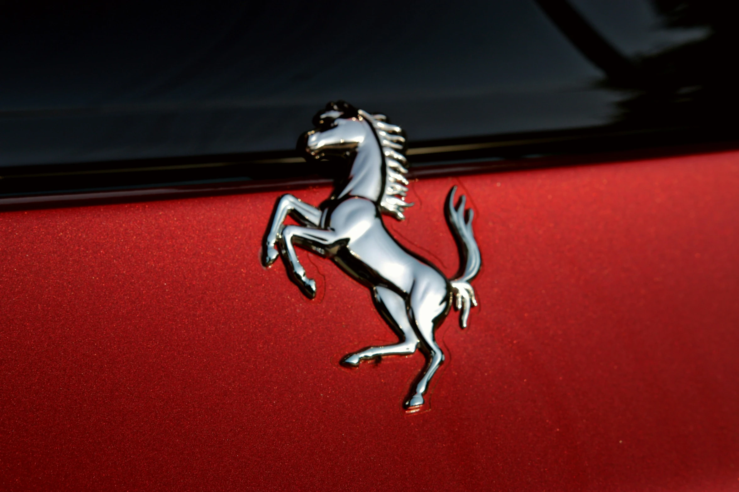 a close up view of a horse on the hood of a car