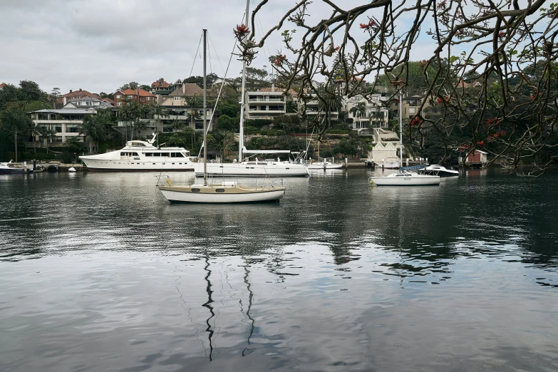 sailboats and yachts are floating on the water