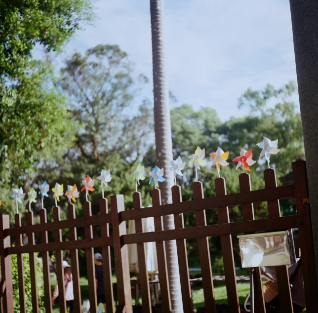 many pinwheels on a wooden fence with people in the background