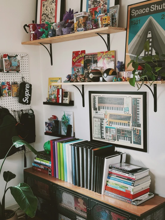 two shelves displaying books and art next to a green pot