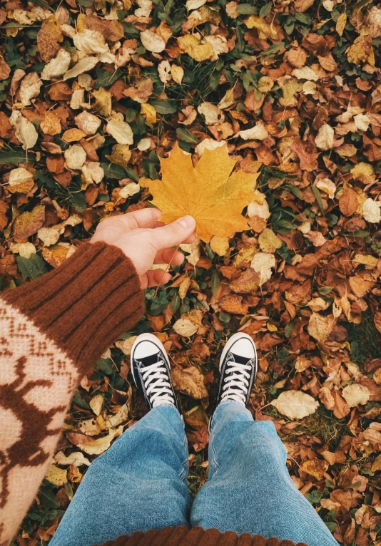 a person with white shoes and blue jeans is holding an autumn leaf