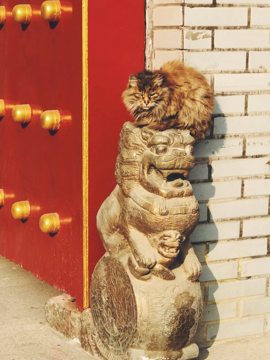 a cat sits on the edge of a large statue