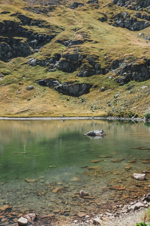 there is a rock out in the water