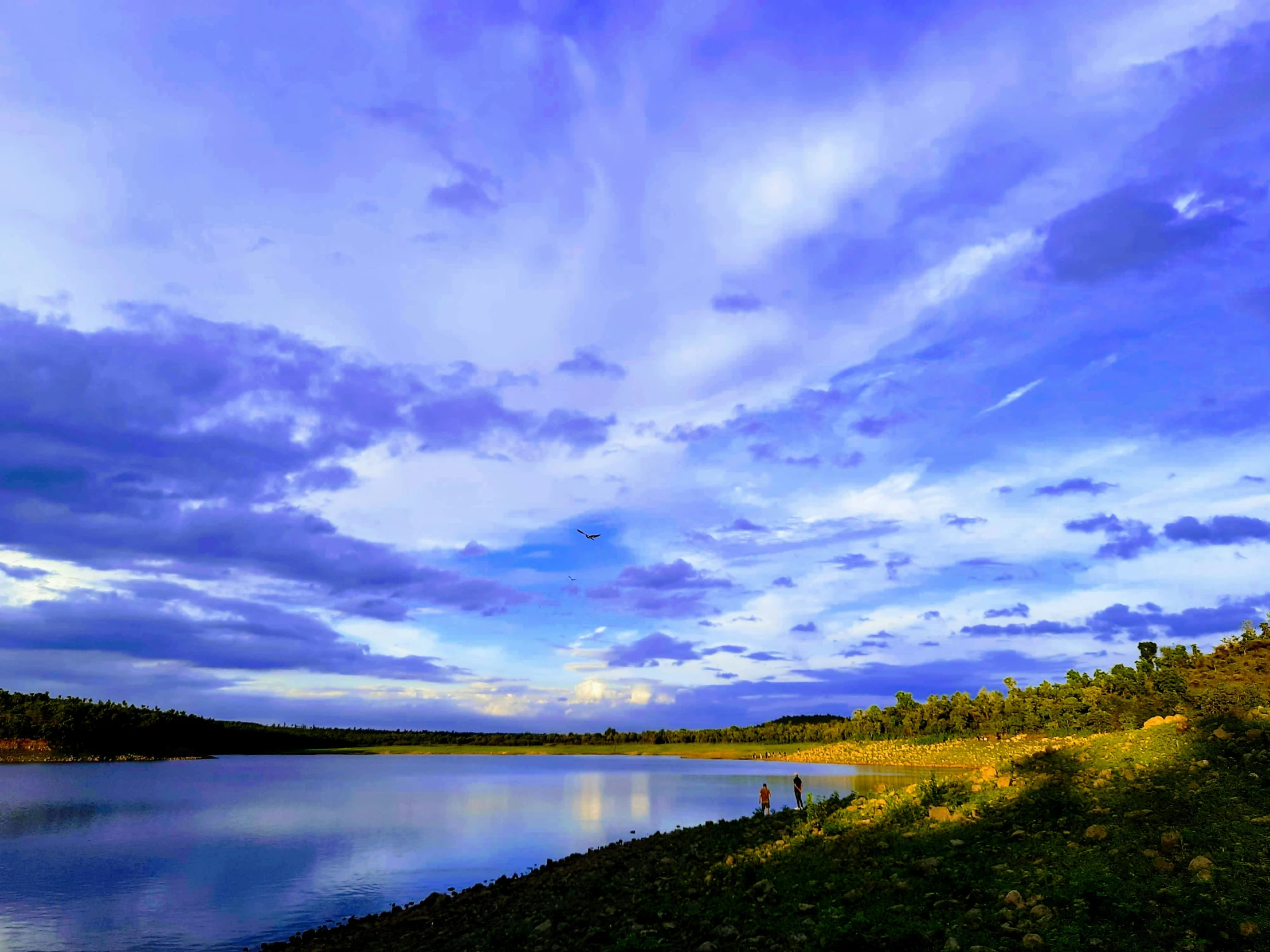 a small lake on the side of a field