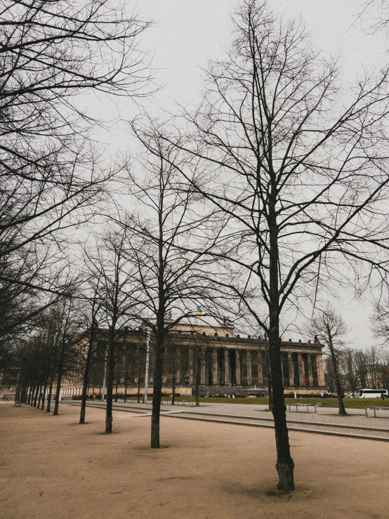 trees are standing in front of a large building