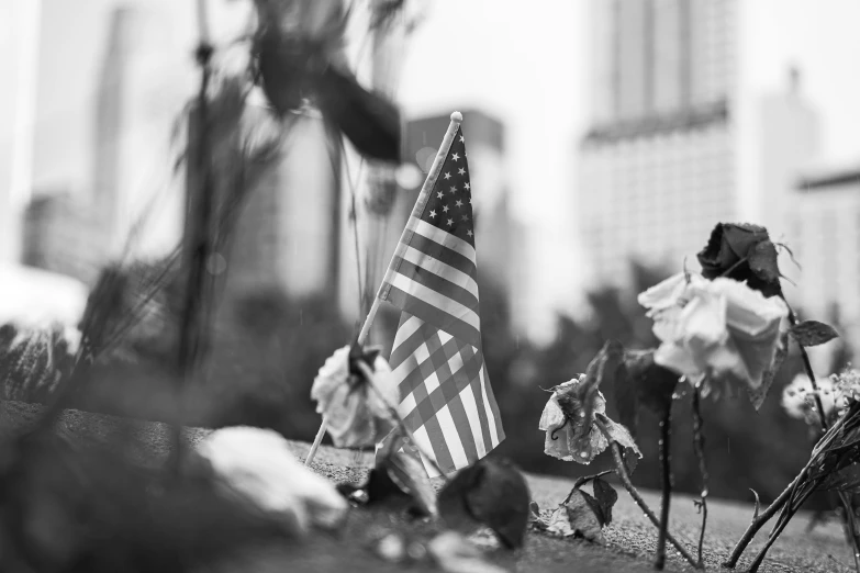 an american flag next to flowers in the grass